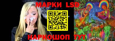гидропоника Камышлов