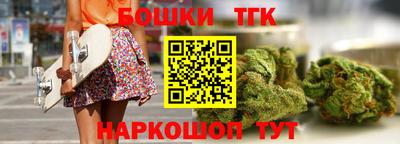 гидропоника Камышлов