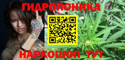 гидропоника Камышлов