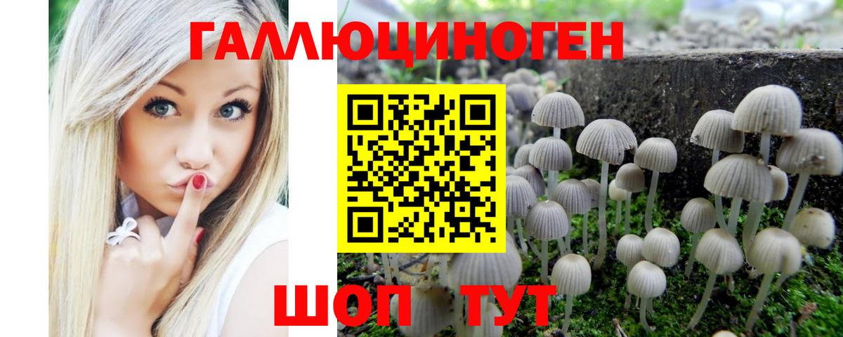 Галлюциногенные грибы Magic Shrooms  Вход с VPN  Биробиджан 